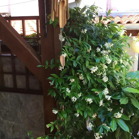 Garden Apartment Malinska
