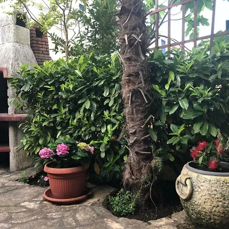 Apartment Garden