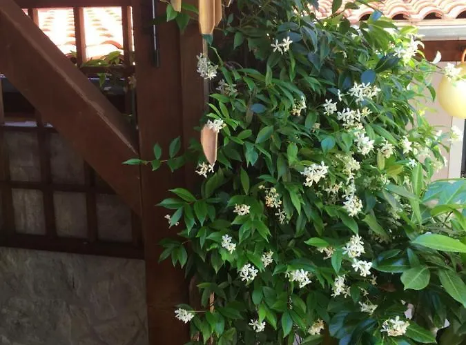 Garden Apartment Malinska
